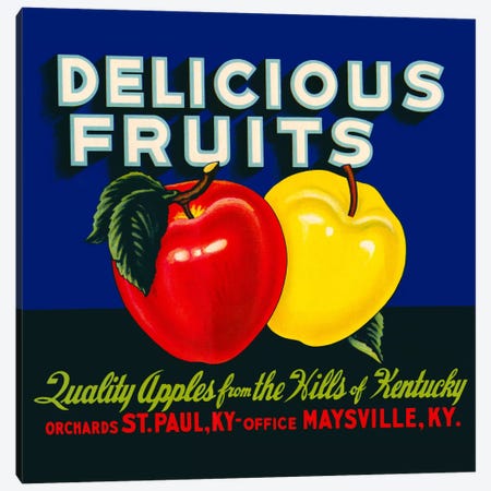 Delicious Fruits Canvas Print #PCA57} by Print Collection Canvas Artwork
