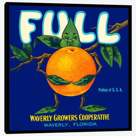 Full Florida Citrus Canvas Print #PCA62} by Print Collection Canvas Artwork