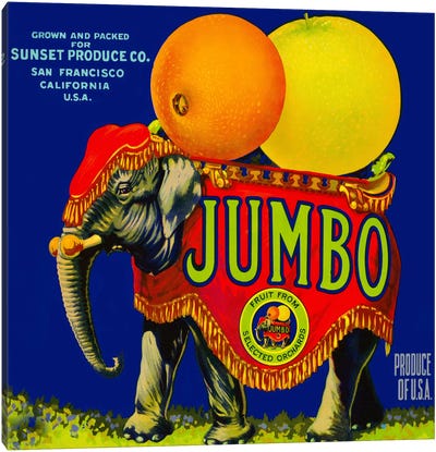 Jumbo Orange and Grapefruit Canvas Art Print - Print Collection