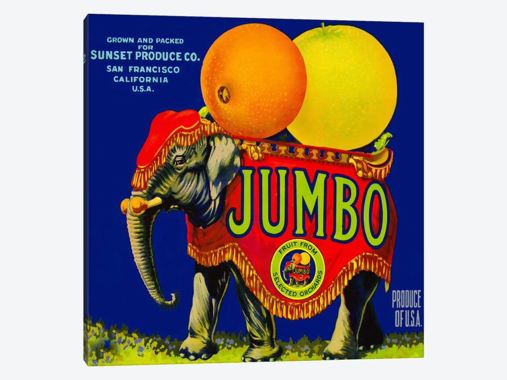 Jumbo Orange and Grapefruit by Print Collection 1-piece Canvas Wall Art