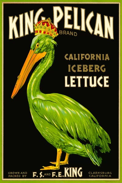 Vintage Kitchen Posters: King Pelican Brand Lettuce by Print Collection
