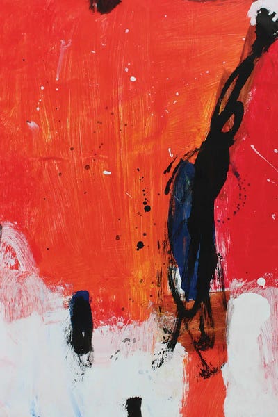 Moment I by Pal Csaba framed canvas print