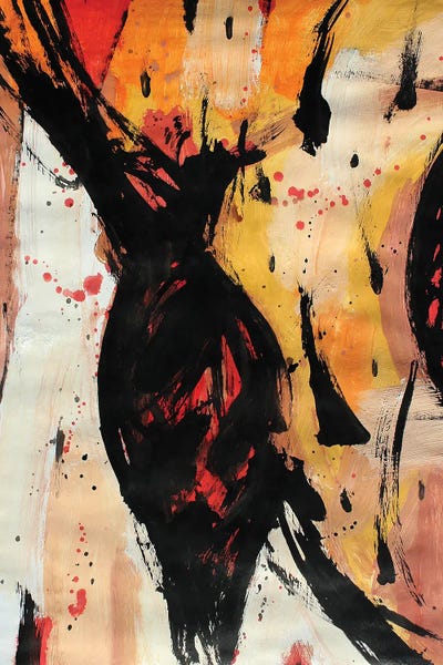 Shape VII by Pal Csaba framed canvas print