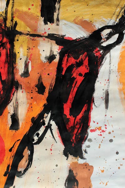 Shape IX by Pal Csaba framed canvas print