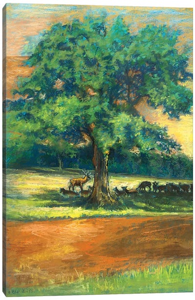 Deer Shading In Richmond Park Canvas Art Print - Patricia Clements