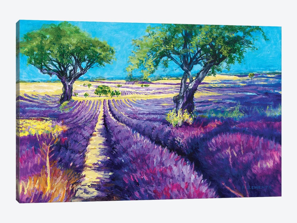 French Lavender Fields by Patricia Clements 1-piece Canvas Wall Art
