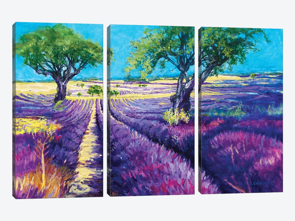 French Lavender Fields by Patricia Clements 3-piece Canvas Artwork