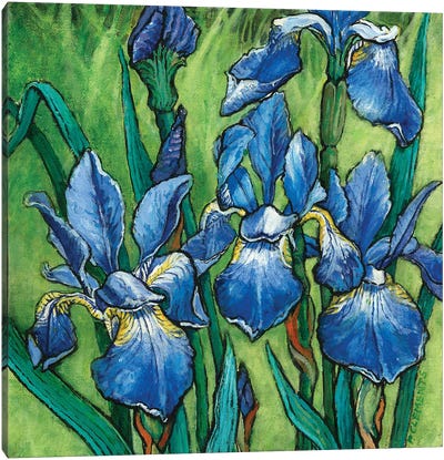 Irises Canvas Art Print - Patricia Clements