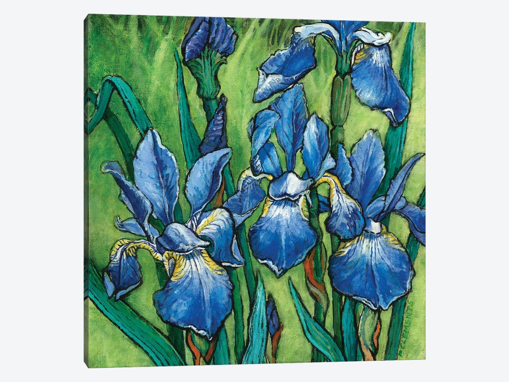 Irises by Patricia Clements 1-piece Canvas Print