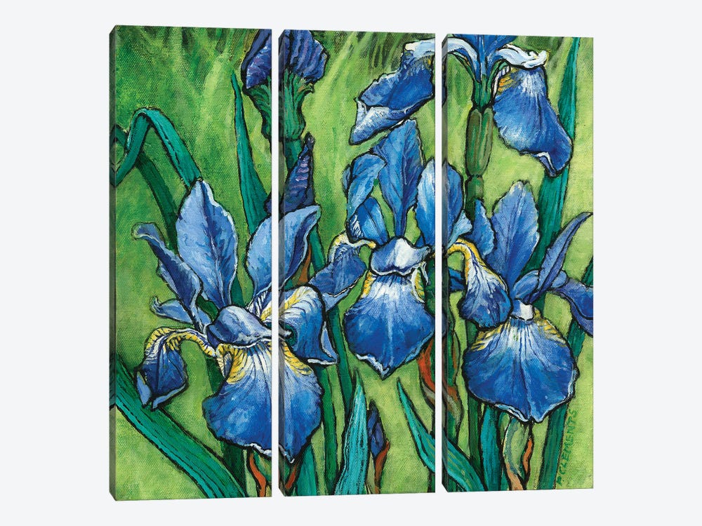 Irises by Patricia Clements 3-piece Art Print
