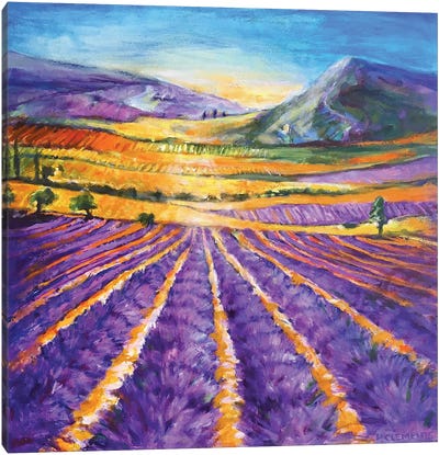 Lavender Hills Canvas Art Print - Lavender Art