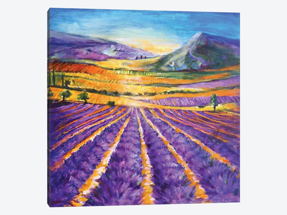 Lavender Hills by Patricia Clements 1-piece Canvas Art Print
