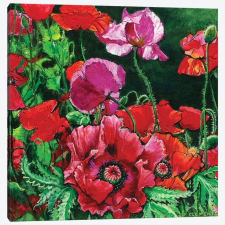 Poppies Canvas Print #PCC35} by Patricia Clements Canvas Art