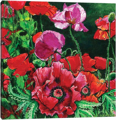 Poppies Canvas Art Print - Patricia Clements