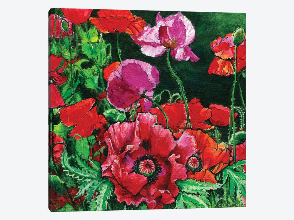 Poppies by Patricia Clements 1-piece Canvas Art