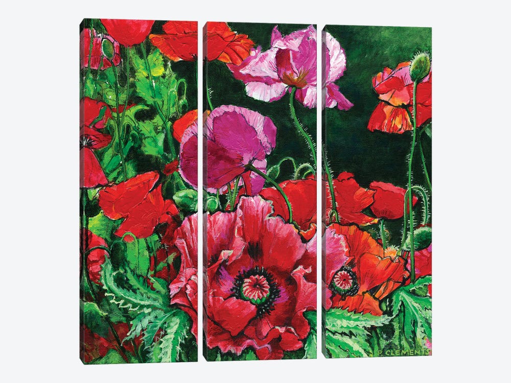 Poppies by Patricia Clements 3-piece Canvas Wall Art