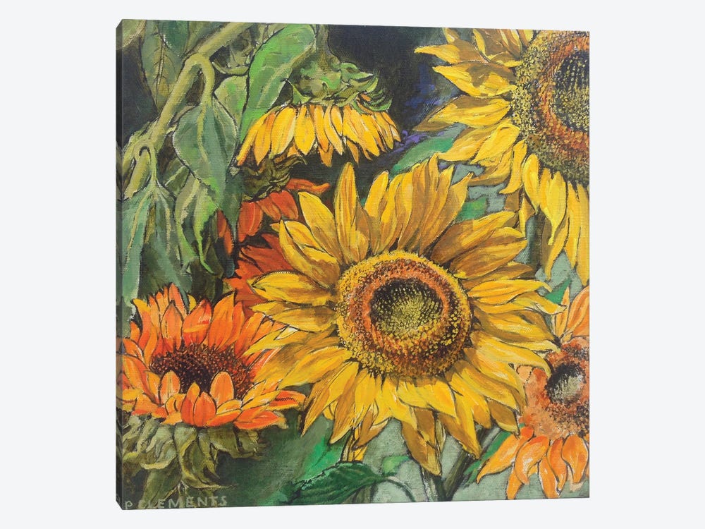 Sunflowers by Patricia Clements 1-piece Canvas Artwork