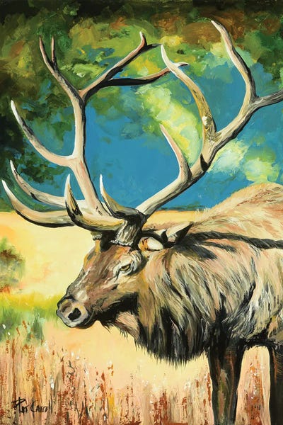 Elk At Sunset by Patricia Carroll canvas print