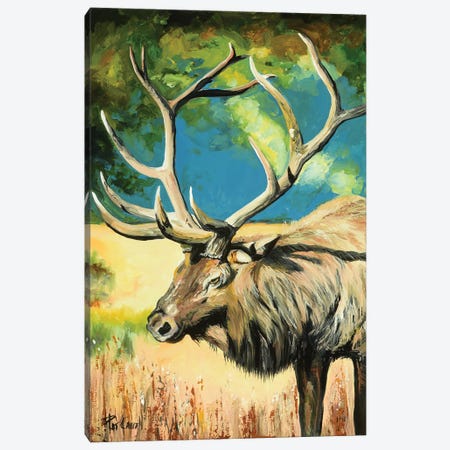 Elk At Sunset Canvas Print #PCL10} by Patricia Carroll Canvas Wall Art