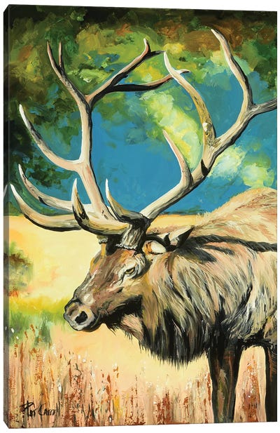 Elk At Sunset Canvas Art Print