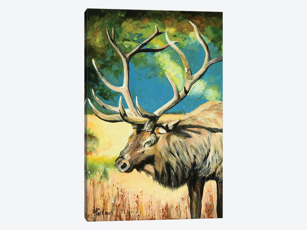 Elk At Sunset by Patricia Carroll 1-piece Art Print