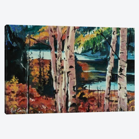 Fall Colors Canvas Print #PCL11} by Patricia Carroll Canvas Artwork