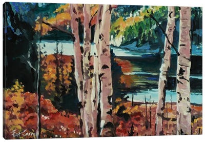 Fall Colors Canvas Art Print - Patricia Carroll