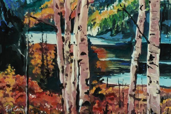 Patricia Carroll: Fall Colors by Patricia Carroll