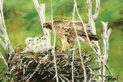 Feeding Time by Patricia Carroll canvas print