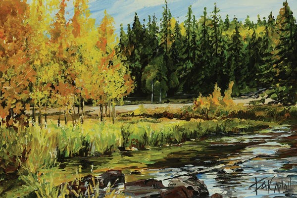 Patricia Carroll: Forest Dreamin by Patricia Carroll