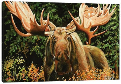 Mangy Moose Canvas Art Print - Moose Art