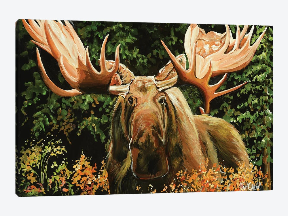Mangy Moose by Patricia Carroll 1-piece Canvas Print
