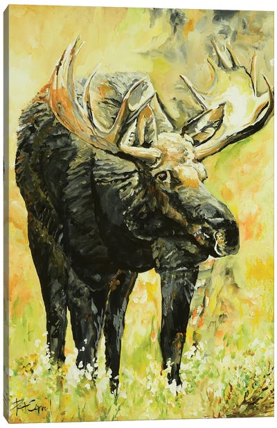 Moose On The Loose Canvas Art Print - Moose Art