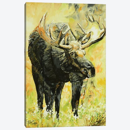 Moose On The Loose Canvas Print #PCL23} by Patricia Carroll Canvas Art Print