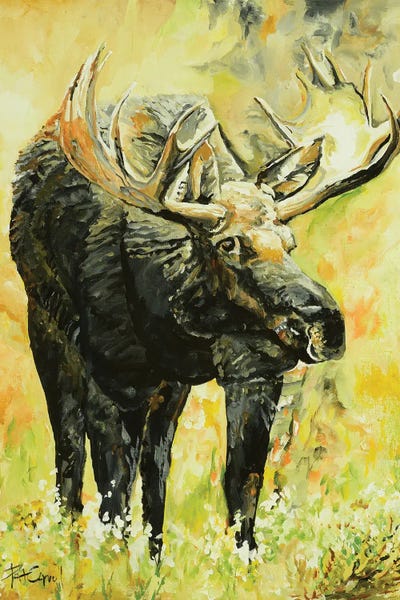 Patricia Carroll: Moose On The Loose by Patricia Carroll