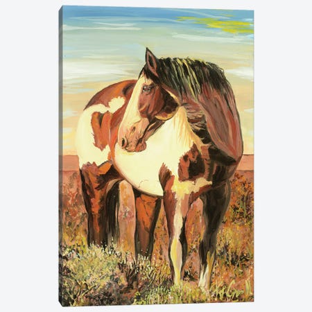 Paint Horse Canvas Print #PCL26} by Patricia Carroll Canvas Artwork
