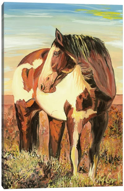 Paint Horse Canvas Art Print