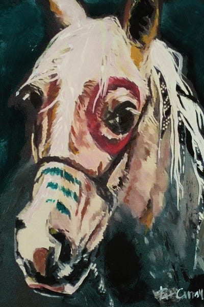 Painted Pony by Patricia Carroll canvas print