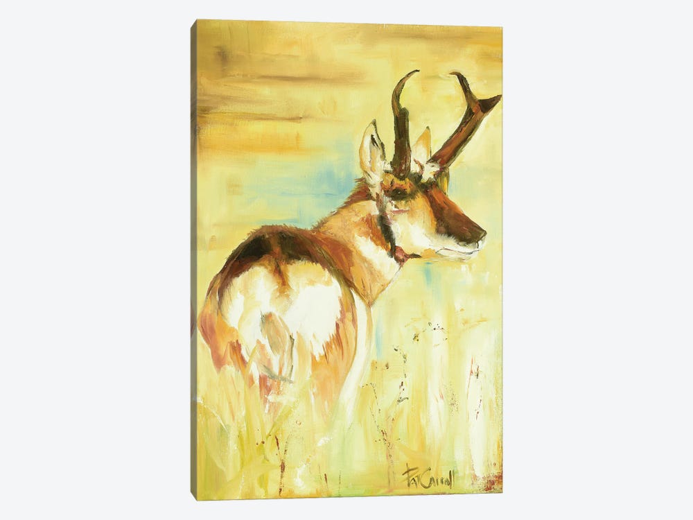 Pronghorn by Patricia Carroll 1-piece Canvas Wall Art