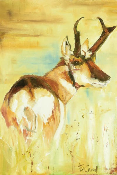 Patricia Carroll: Pronghorn by Patricia Carroll