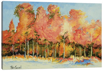 Autumn Trees Canvas Art Print - Patricia Carroll