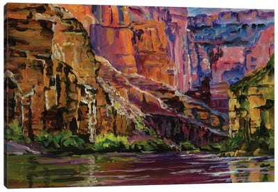 Canyon Colors Canvas Art Print - Patricia Carroll