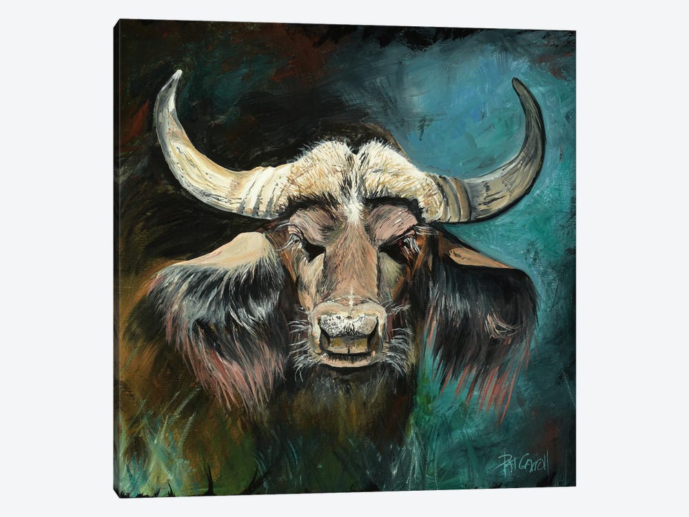 Cape Buffalo by Patricia Carroll 1-piece Canvas Art