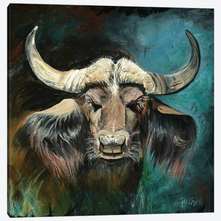 Cape Buffalo Canvas Print #PCL5} by Patricia Carroll Canvas Wall Art