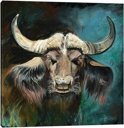 Cape Buffalo Canvas Art Print
