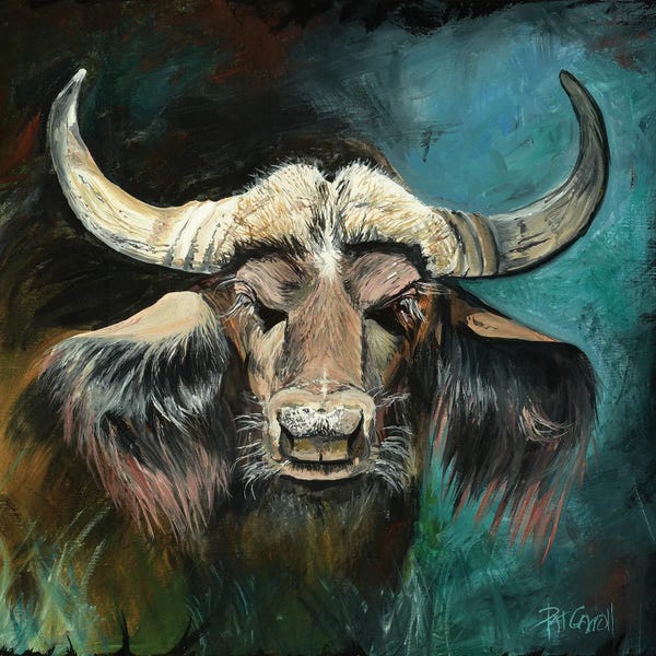Patricia Carroll: Cape Buffalo by Patricia Carroll