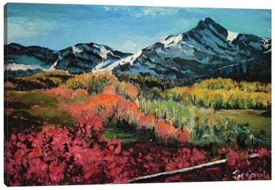 Colorado Autumn Canvas Art Print