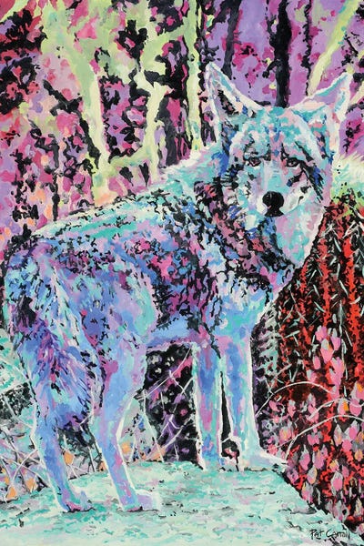 Colorful Coyote by Patricia Carroll canvas print