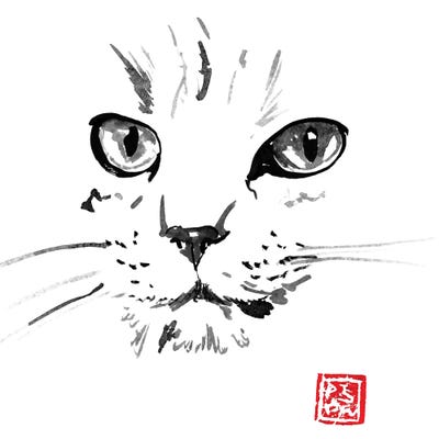 Lost In White by Péchane canvas print