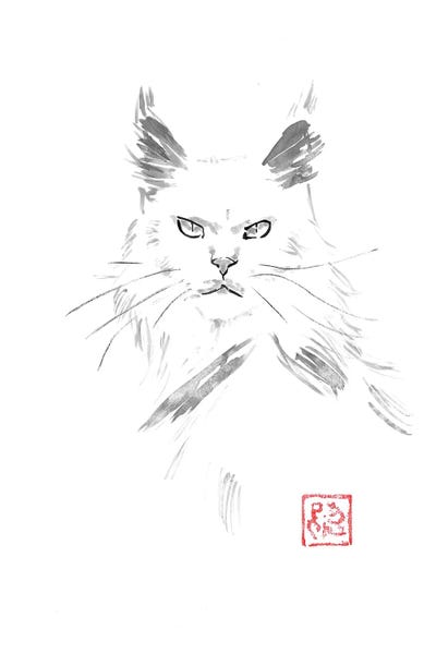 Péchane - Framed Canvas Art: White Main Coon by Péchane